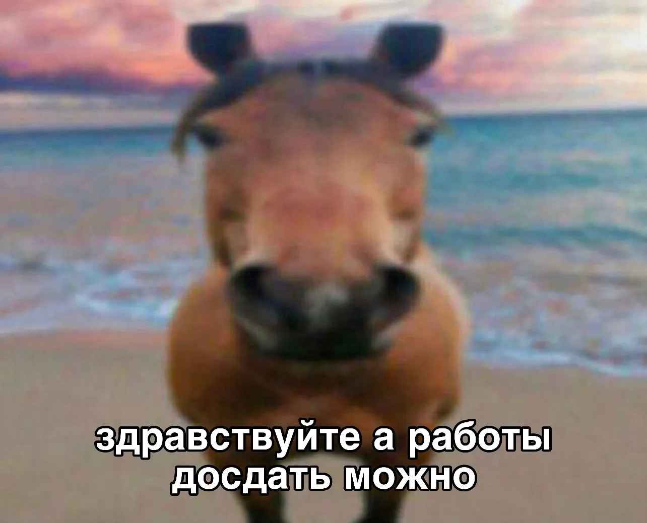 здравствуйте а работы досдать можно
